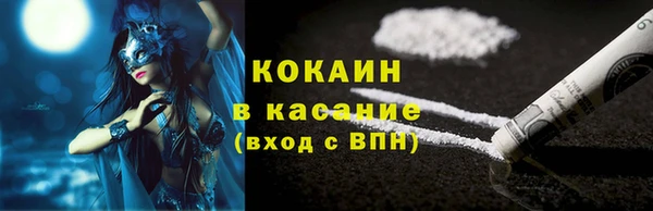 индика Щигры