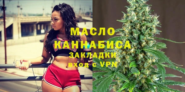 индика Щигры