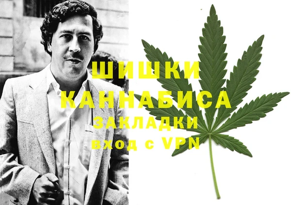 ГАЛЛЮЦИНОГЕННЫЕ ГРИБЫ Новодвинск