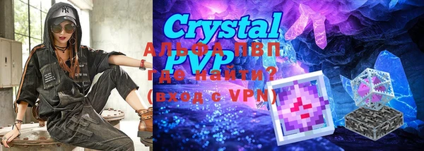индика Щигры