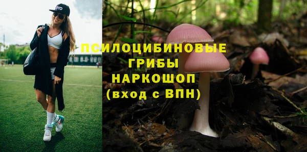 марки lsd Дмитриев