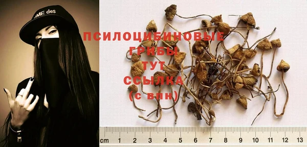 бошки Новозыбков