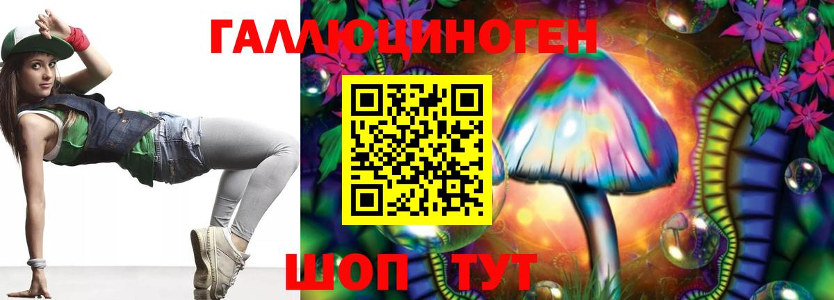 Псилоцибиновые грибы Psilocybe Нурлат