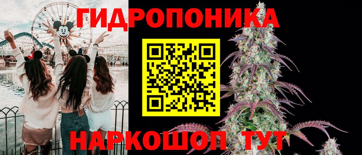 Каннабис MAZAR  Вход с VPN  Каннабис индика  Канабис планчик  Нурлат 